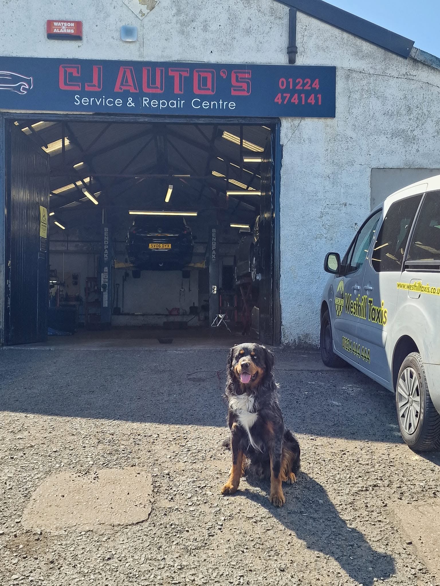 CJ Auto's garage exterior in Aberdeen with dog